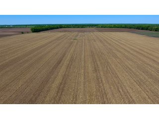 Property photo 6 - LAND AUCTION - 492+/- ACRES OFFERED IN 7 TRACTS IN SULLIVAN & KNOX COUNTIES, INDIANA